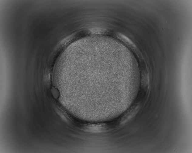 X0000082930405200703020110