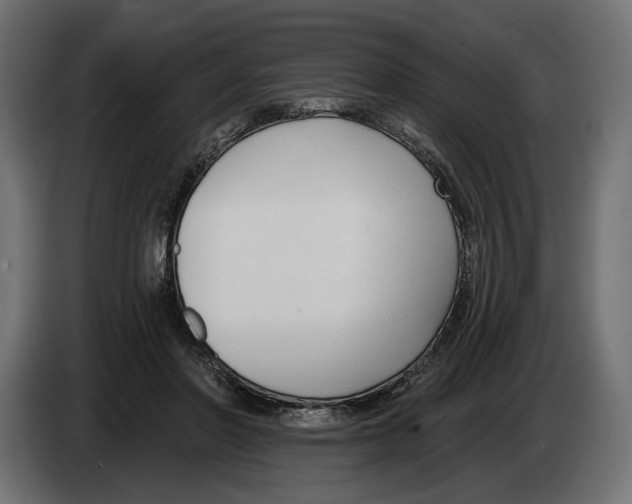 X0000082930406200703020110