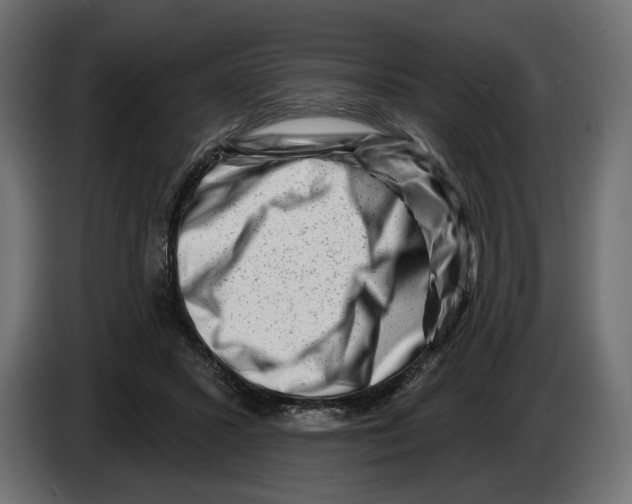 X0000082930407200703020110