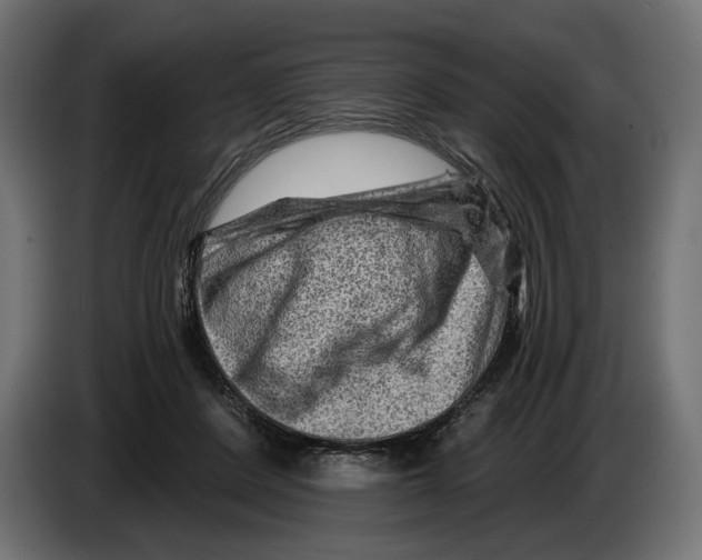 X0000082930408200703020110