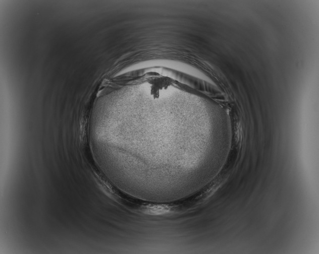 X0000082930409200703020110
