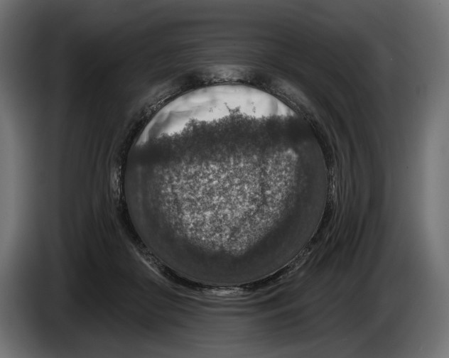 X0000082930410200703020110