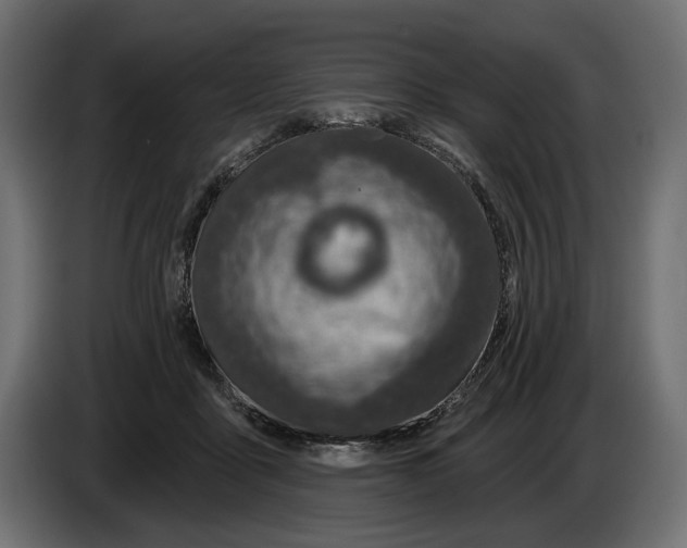 X0000082930411200703020110