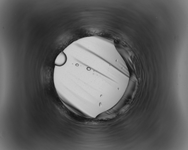 X0000082930412200703020110