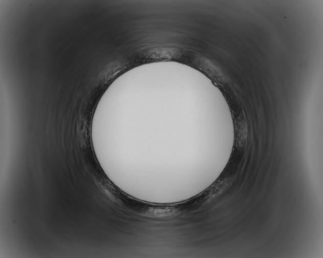 X0000082930414200703020110