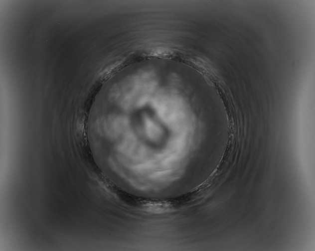 X0000082930415200703020110