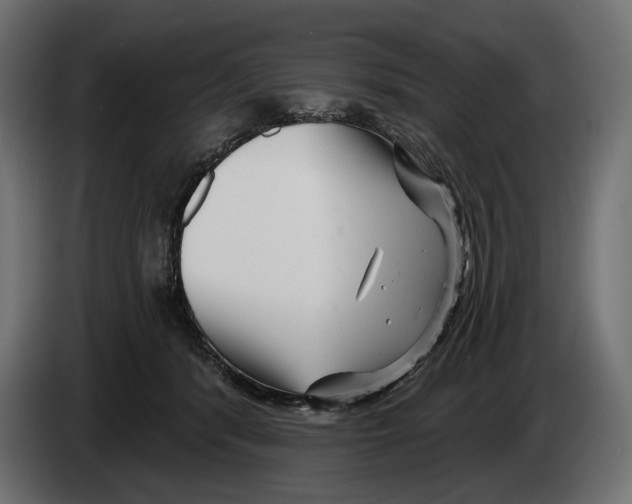 X0000082930416200703020110