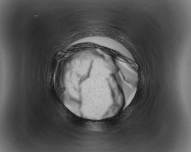 X0000082930417200703020109