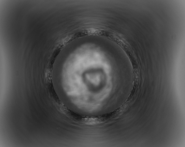 X0000082930419200703020109