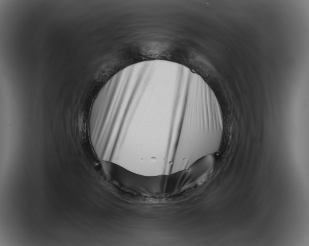 X0000082930420200703020109