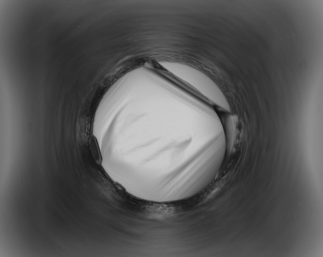 X0000082930421200703020109