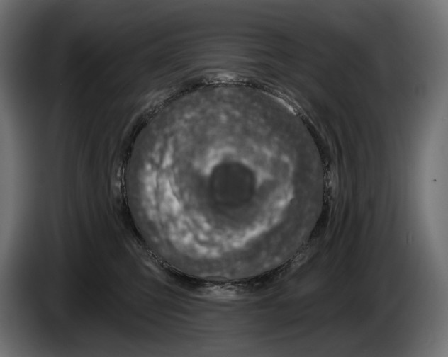 X0000082930423200703020109