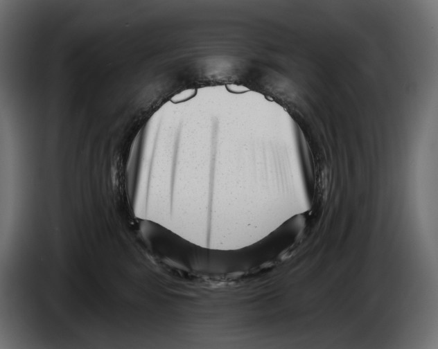 X0000082930424200703020109