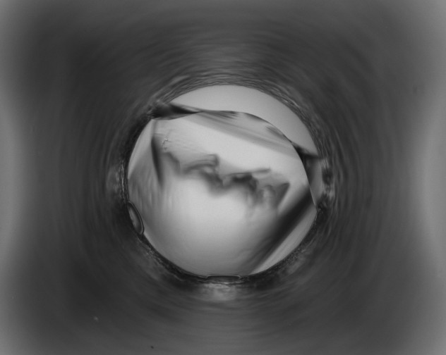 X0000082930425200703020109