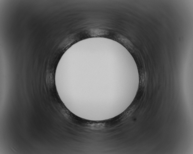 X0000082930426200703020109