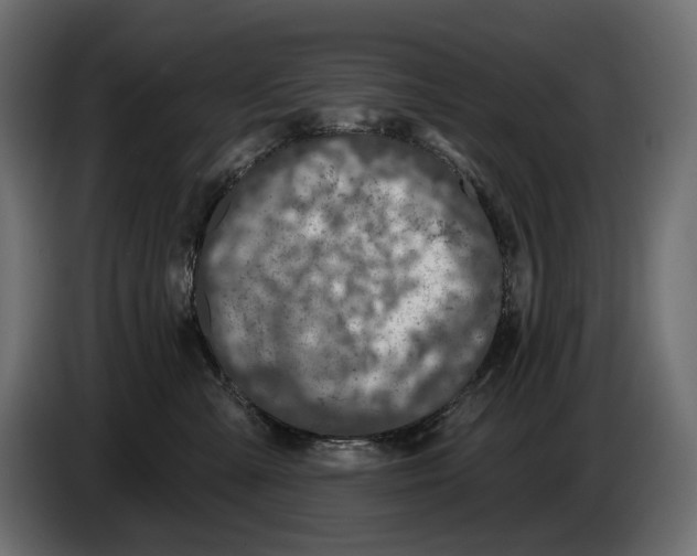 X0000082930427200703020109