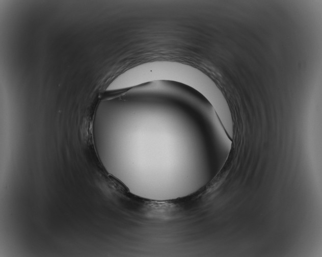 X0000082930429200703020109