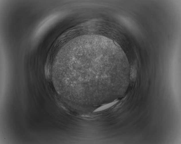X0000082930431200703020109