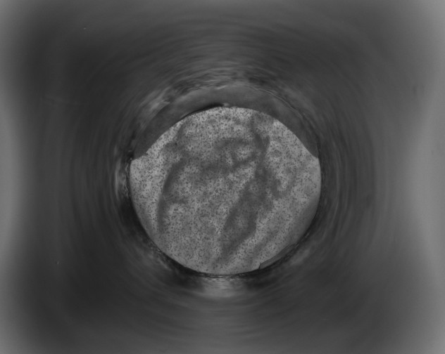 X0000082930432200703020109