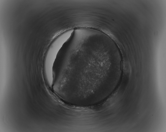 X0000082930434200703020109