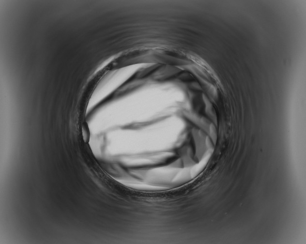 X0000082930436200703020109