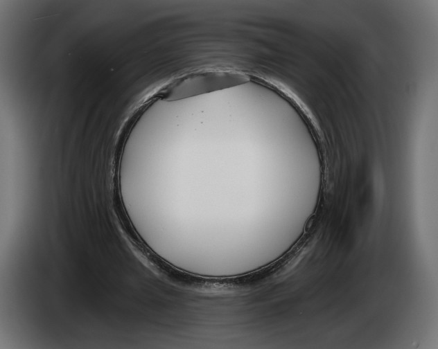 X0000082930437200703020109