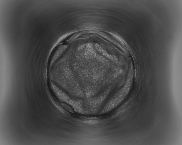 X0000082930438200703020109