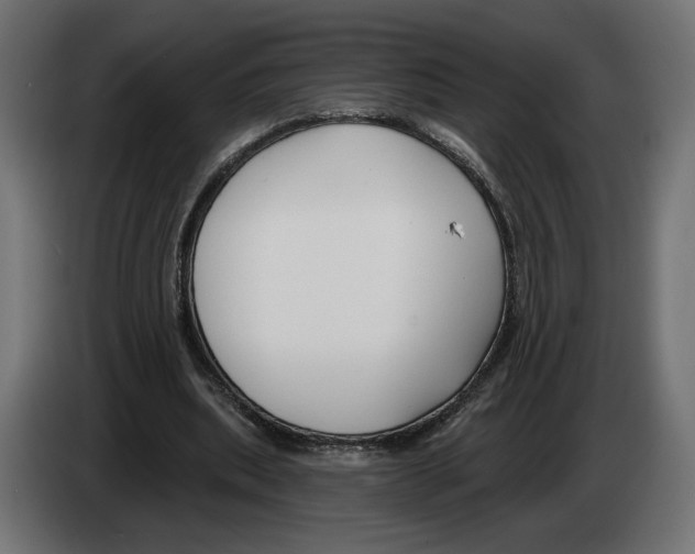 X0000082930439200703020109