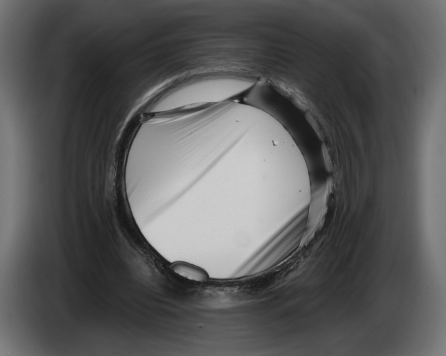 X0000082930440200703020109