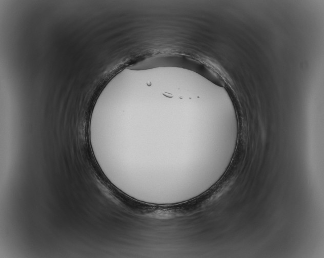 X0000082930441200703020109