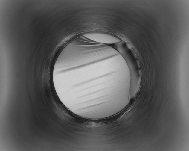 X0000082930442200703020109