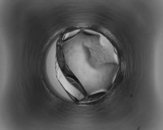 X0000082930444200703020109