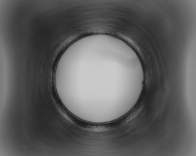X0000082930445200703020109