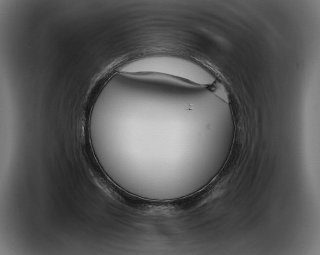 X0000082930446200703020109