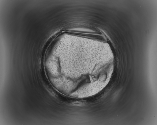 X0000082930447200703020109