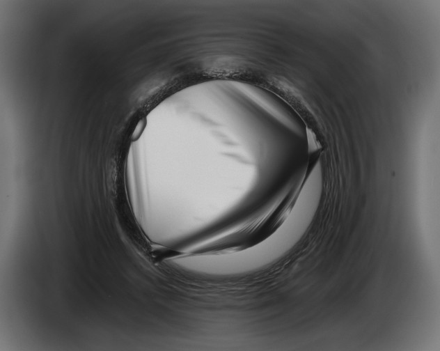 X0000082930448200703020109