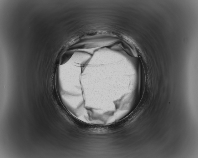 X0000082930449200703020109
