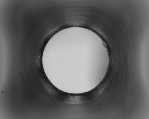X0000082930450200703020109