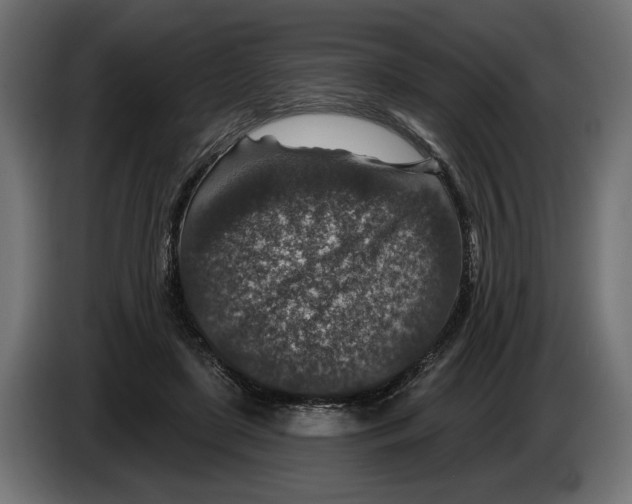 X0000082930451200703020109