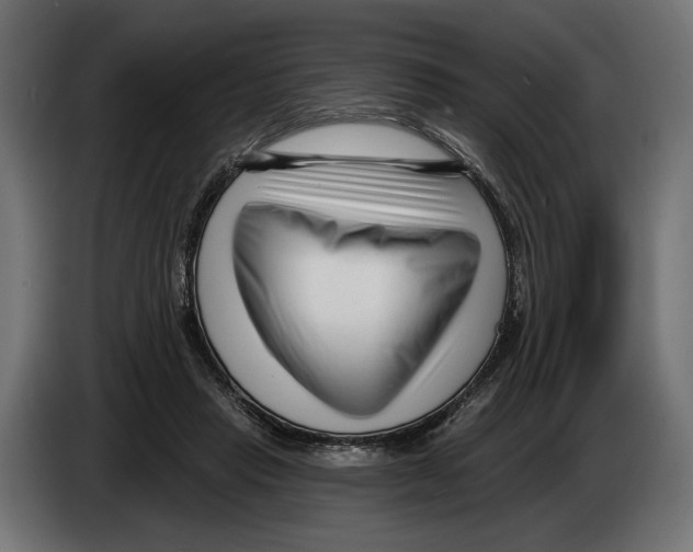 X0000082930453200703020109