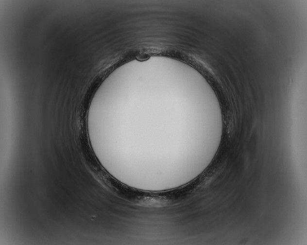 X0000082930455200703020109