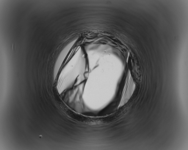 X0000082930456200703020109