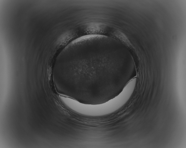 X0000082930458200703020109