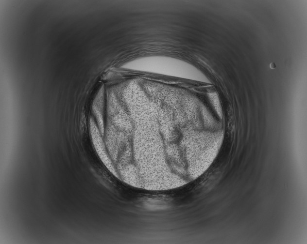 X0000082930459200703020109
