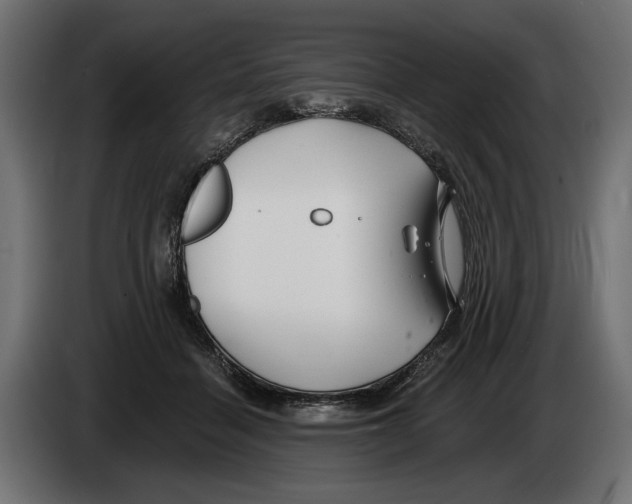 X0000082930460200703020109