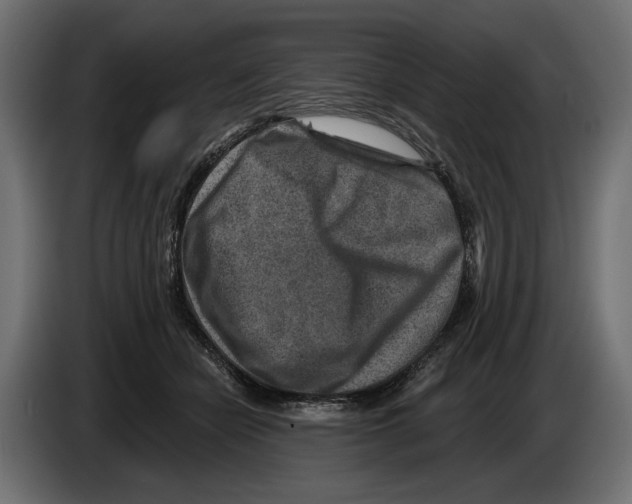 X0000082930462200703020109
