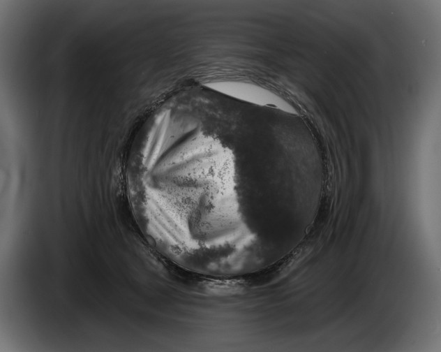 X0000082930465200703020109