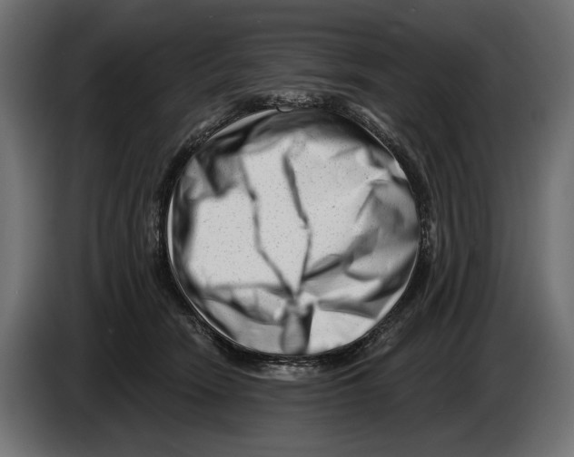 X0000082930466200703020109