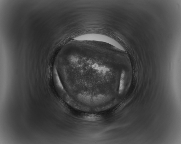 X0000082930467200703020109
