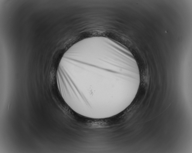 X0000082930468200703020109
